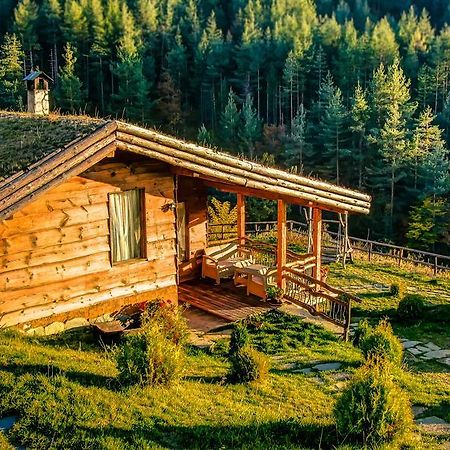 Панорама Хаус Лещен И Еко Къщи Дървена И Землянка Exterior foto